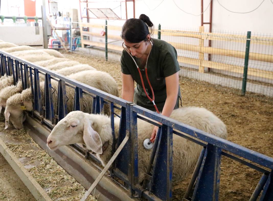 Konya'da hayalini kurdu, kendi işinin patronu oldu 7